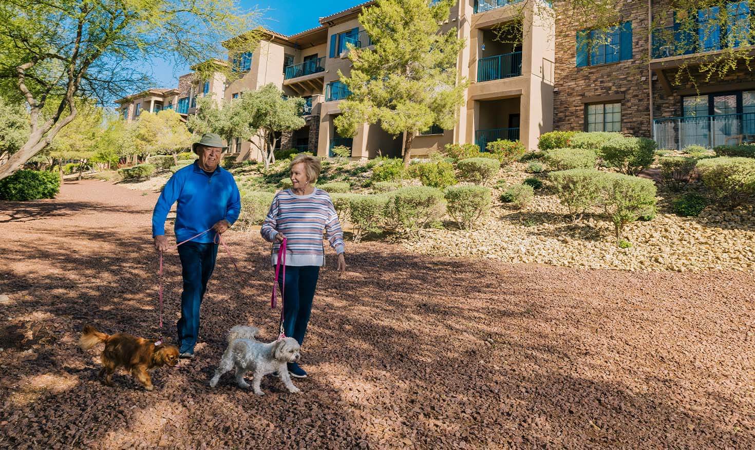 seniors walking their dogs outside