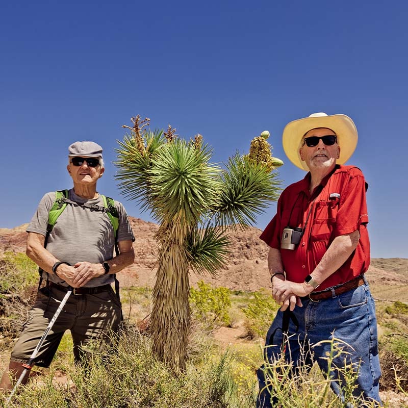 seniors walking on a hike