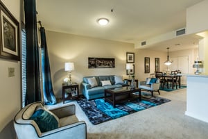 apartment living room and dining room